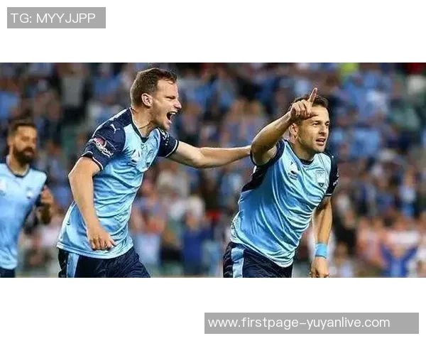 惠灵顿凤凰与悉尼FC阵容分析及比赛前瞻探讨